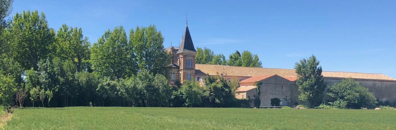 Chateau De La Prade Narbonne Bagian luar foto